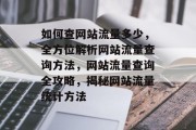 如何查网站流量多少，全方位解析网站流量查询方法，网站流量查询全攻略，揭秘网站流量统计方法
