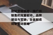 做好营销策略,推广和销售的双重驱动,品牌建设与营销,全面解读双驱推动策略