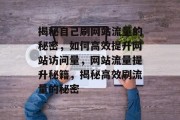 揭秘自己刷网站流量的秘密，如何高效提升网站访问量，网站流量提升秘籍，揭秘高效刷流量的秘密