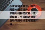 小说网站流量包，助力网络小说家提升人气与影响力的秘密武器，流量秘籍，小说网站流量包助网络小说家崛起之道