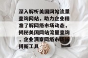 深入解析美国网站流量查询网站，助力企业精准了解网络市场动态，揭秘美国网站流量查询，企业洞察网络市场脉搏新工具