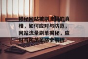 揭秘网站被刷流量的真相，如何应对与防范，网站流量刷单揭秘，应对与防范策略全解析