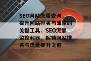 SEO网站流量查询，提升网站排名与流量的关键工具，SEO流量监控利器，解锁网站排名与流量提升之道