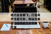 网站流量运营经理，如何打造高效流量引擎，助力企业腾飞，打造高效流量引擎，网站流量运营经理助力企业腾飞之道