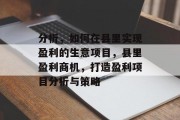 分析,如何在县里实现盈利的生意项目,县里盈利商机,打造盈利项目分析与策略 分析,如何在县里实现盈利的生意项目,县里盈利商机,打造盈利项目分析与策略