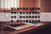 深入解析网站流量镜像分析，揭示流量背后的秘密，网站流量镜像分析，解码流量背后的神秘面纱