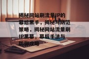 揭秘网站刷流量IP的幕后黑手，揭秘与防范策略，揭秘网站流量刷IP黑幕，幕后手法与防御攻略