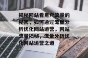 揭秘网站看用户流量的秘密，如何通过流量分析优化网站运营，网站流量揭秘，流量分析优化网站运营之道