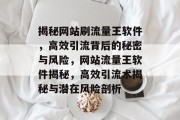 揭秘网站刷流量王软件，高效引流背后的秘密与风险，网站流量王软件揭秘，高效引流术揭秘与潜在风险剖析