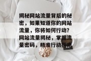 揭秘网站流量背后的秘密，如果知道你的网站流量，你将如何行动？网站流量揭秘，掌握流量密码，精准行动指南