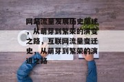 网站流量发展历史简述，从萌芽到繁荣的演变之路，互联网流量变迁史，从萌芽到繁荣的演进之路