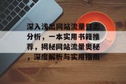 深入浅出网站流量日志分析，一本实用书籍推荐，揭秘网站流量奥秘，深度解析与实用指南