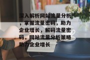 深入解析网站流量分析，掌握流量密码，助力企业增长，解码流量密码，网站流量分析策略助力企业增长
