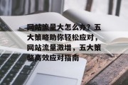 网站流量大怎么办？五大策略助你轻松应对，网站流量激增，五大策略高效应对指南