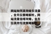 网站如何高效吸引流量，全方位策略解析，网站流量倍增攻略，全方位高效引流策略解析