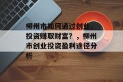 柳州市如何通过创业、投资赚取财富？，柳州市创业投资盈利途径分析