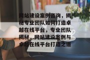 网站建设案例咨询，揭秘专业团队如何打造卓越在线平台，专业团队揭秘，网站建设案例与卓越在线平台打造之道