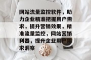 网站流量监控软件，助力企业精准把握用户需求，提升营销效果，精准流量监控，网站营销利器，提升企业用户需求洞察