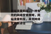 网站流量购买，一种有效的网络营销策略，网站流量购买，高效网络营销新途径
