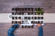 揭秘网站跑真实流量广告的秘密，如何实现流量变现，网站流量变现的神秘之门，揭秘真实流量广告的秘密