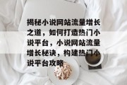 揭秘小说网站流量增长之道，如何打造热门小说平台，小说网站流量增长秘诀，构建热门小说平台攻略
