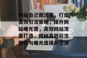 网站自己做流量，打造高效引流策略，提升网站曝光度，高效网站流量打造，揭秘高效引流策略与曝光度提升之道