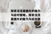 探索没流量图片的魅力与应对策略，探索没流量图片的魅力与应对策略