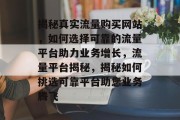 揭秘真实流量购买网站，如何选择可靠的流量平台助力业务增长，流量平台揭秘，揭秘如何挑选可靠平台助您业务腾飞