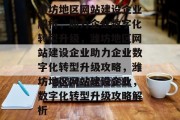 潍坊地区网站建设企业解析，助力企业数字化转型升级，潍坊地区网站建设企业助力企业数字化转型升级攻略，潍坊地区网站建设企业，数字化转型升级攻略解析