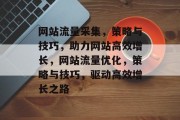 网站流量采集，策略与技巧，助力网站高效增长，网站流量优化，策略与技巧，驱动高效增长之路