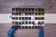 西宁网站流量增长背后的秘密，如何打造高效网络营销策略，揭秘西宁网站流量激增，高效网络营销策略全解析