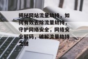 揭秘网站流量劫持，如何有效去除流量劫持，守护网络安全，网络安全解码，破解流量劫持之谜