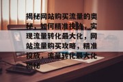 揭秘网站购买流量的奥秘，如何精准投放，实现流量转化最大化，网站流量购买攻略，精准投放，流量转化最大化揭秘