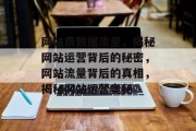网站费数据流量，揭秘网站运营背后的秘密，网站流量背后的真相，揭秘网站运营奥秘