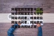 网站定向流量查询，揭秘如何精准定位与分析网站访问者，精准定位网站访问者，网站定向流量查询揭秘之道