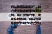 网站流量监控软件，助力企业精准把握流量脉搏，提升营销效果，流量脉搏监测，网站流量监控软件助力企业营销升级