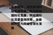 全面解析，如何查询网站各国流量，助力网站国际化发展，网站国际化流量查询攻略，全面解析助力网站全球化发展