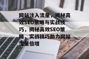 网站注入流量，揭秘高效SEO策略与实战技巧，揭秘高效SEO策略，实战技巧助力网站流量倍增