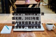 2023年国内体育赛事盘点，精彩纷呈，激情无限，2023年度国内体育盛事大盘点，激情赛事，精彩无限