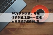 10万以下投资，开启你的创业之路——低成本高回报的赚钱生意