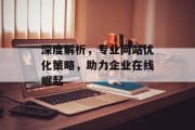深度解析，专业网站优化策略，助力企业在线崛起