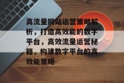 高流量网站运营策略解析，打造高效能的数字平台，高效流量运营秘籍，构建数字平台的高效能策略