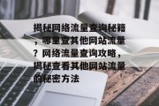 揭秘网络流量查询秘籍，哪里查其他网站流量？网络流量查询攻略，揭秘查看其他网站流量的秘密方法