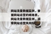 网站流量数据监测，掌握网站运营的晴雨表，网站流量数据监测，洞察网站运营风向标