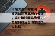 网站流量实时查询，掌握网站运营脉搏的关键，实时监控网站流量，把握网站运营动态的核心指标