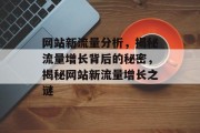 网站新流量分析，揭秘流量增长背后的秘密，揭秘网站新流量增长之谜