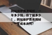 网站维护费用解析，一年多少钱，你了解多少？，网站维护费用揭秘，一年成本几何？