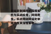 网站定制插件的深度解析与实战应用，网络爬虫，实战揭秘网站定制插件及其深度解析
