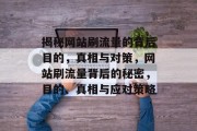 揭秘网站刷流量的背后目的，真相与对策，网站刷流量背后的秘密，目的、真相与应对策略