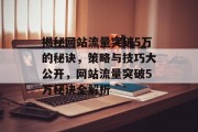揭秘网站流量突破5万的秘诀，策略与技巧大公开，网站流量突破5万秘诀全解析